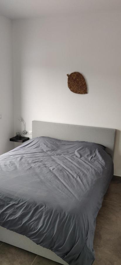 El Sol Blanco Villa Rafol de Almunia Ngoại thất bức ảnh